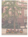 Tree 3